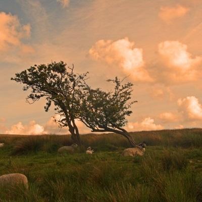 246天天好彩app下载