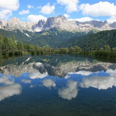 金博宝官网下载手机版截图